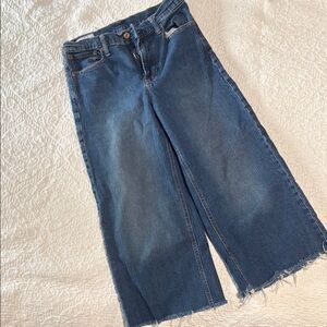 GAP Dark Blue Flare Jeans